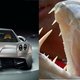 Illustration for article titled Ten cars that look like fish
